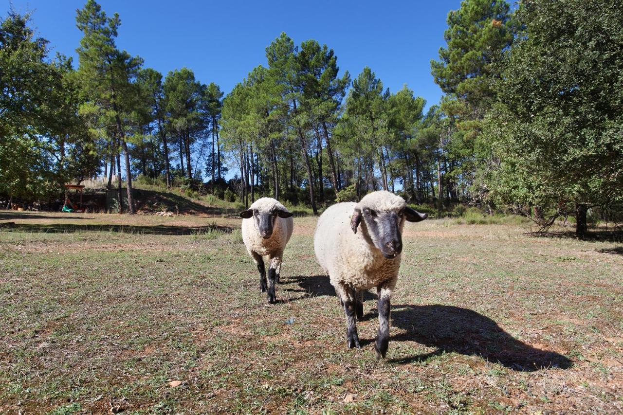 Domaine Les Petites Vaines Goult Exterior foto